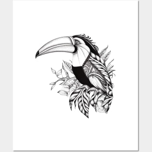 Toucan Wild Animal Nature Illustration Art Tattoo Posters and Art